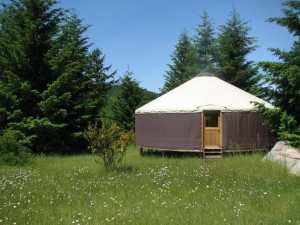 Stillpoint Yurt in the woods